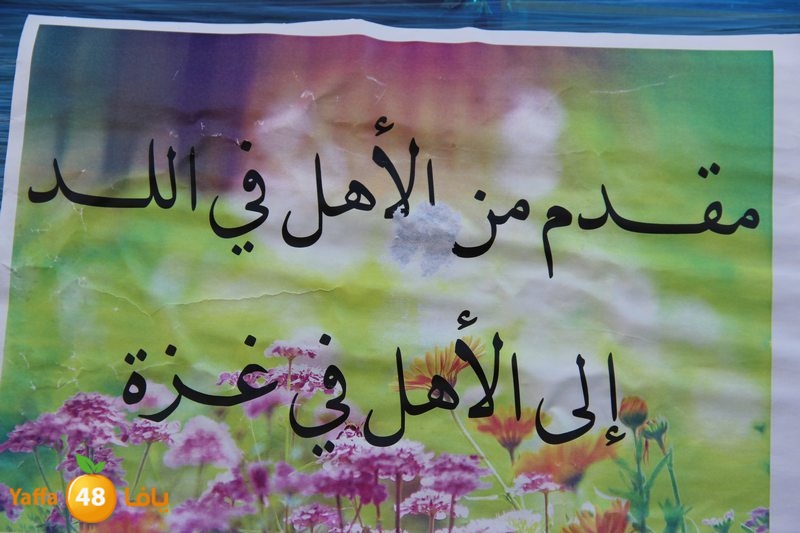 sha7ena ludi31 (17).JPG